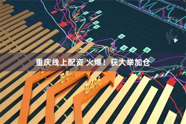 重庆线上配资 火爆!获大举加仓